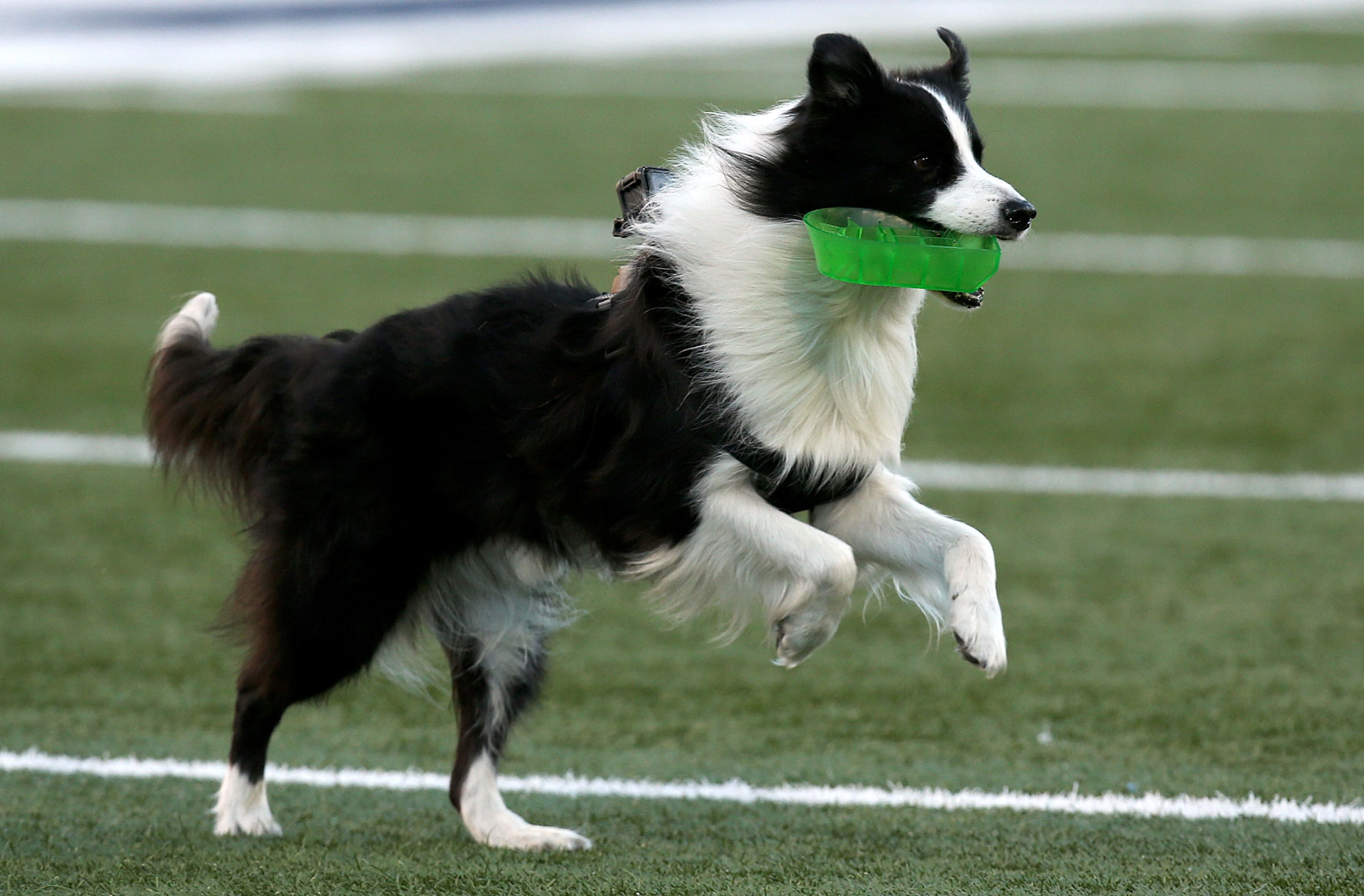 New Mexico State 26, Utah State 20